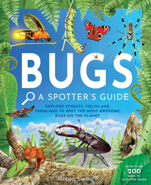 Bugs: A Spotter's Guide by Pauline Savage, Fiona Osbaldstone, Greg Hurst, 9798886740943