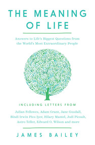 The Meaning of Life (Answers to Life's Biggest Questions from the World's Most Extraordinary People) by James Bailey, 9798897100033