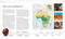 África (Spanish Edition) by DK, 9798217129904