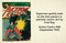 DC: Superman Tiny Book by Insight Editions, 9798337401560