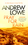 Pray For Rain (A page-turning British detective crime thriller with twists) by Andrew Lowe, 9781036703554