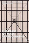 The Pains of Mass Imprisonment by Benjamin Fleury-Steiner, Jamie Longazel, 9781032422008