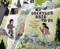 My Backyard Used To Be by Lynn Baldwin, Megan Elizabeth Baratta, 9781668955239