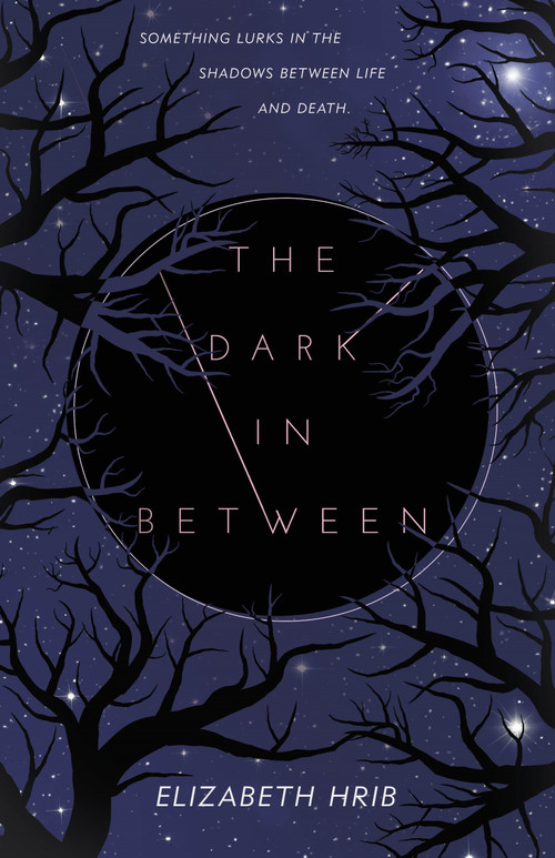 The Dark In-Between by Elizabeth Hrib, 9781250419880