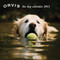 Orvis: The Dog Calendar 2011 by The Orvis Company, 9781616081508