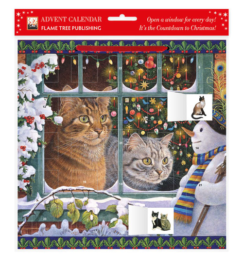 Lesley Anne Ivory - Snowy Christmas: Megatab, Mintaka and the Snowman Advent Calendar 2021 (with stickers) by Flame Tree Studio, 9781839641138