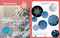 Backpack Explorer: Winter Walk (What Will You Find?) by Editors of Storey Publishing, 9781635869248