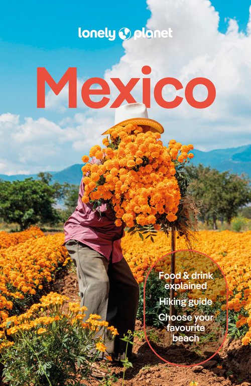 Lonely Planet Mexico - 9781837583973 by Lonely Planet, Joel Balsam, Jennifer Fernández Solano, John Hecht, Nellie Huang, Anna Kaminski, Liza Prado, Brendan Sainsbury, Regis St Louis, Paul Stafford, Iain Stewart, Phillip Tang, 9781837583973
