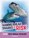 Hammerhead Sharks at Risk (Saving These Unusual Predators) by Kathryn Clay, 9798875221743