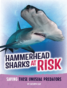 Hammerhead Sharks at Risk (Saving These Unusual Predators) - 9798875221798 by Kathryn Clay, 9798875221798