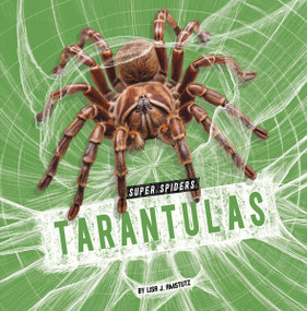 Tarantulas - 9798875224836 by Lisa J. Amstutz, 9798875224836