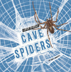 Cave Spiders by Lisa J. Amstutz, 9798875224508