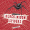 Black Widow Spiders - 9798875224621 by Lisa J. Amstutz, 9798875224621
