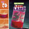 Make Your Own Lava Lamp by Christopher Harbo, 9798875225024