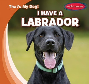 I Have a Labrador by Benjamin Proudfit, 9781482469981