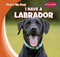 I Have a Labrador by Benjamin Proudfit, 9781482469981