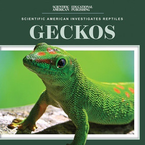 Geckos - 9781725352858 by Jagger Youssef, 9781725352858