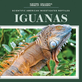 Iguanas - 9781725352919 by Jagger Youssef, 9781725352919
