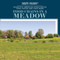 Food Chains in a Meadow by Rosie Banks, 9781538312582
