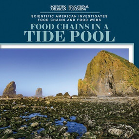 Food Chains in a Tide Pool - 9781538312650 by Rosie Banks, 9781538312650