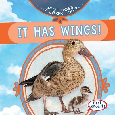 It Has Wings! - 9781482470970 by Kathleen Connors, 9781482470970
