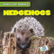Hedgehogs - 9781482471212 by Kristen Rajczak Nelson, 9781482471212