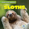 Sloths - 9781482471328 by Kristen Rajczak Nelson, 9781482471328