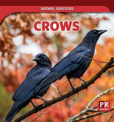 Crows - 9781499451832 by Theresa Emminizer, 9781499451832