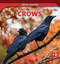 Crows - 9781499451832 by Theresa Emminizer, 9781499451832