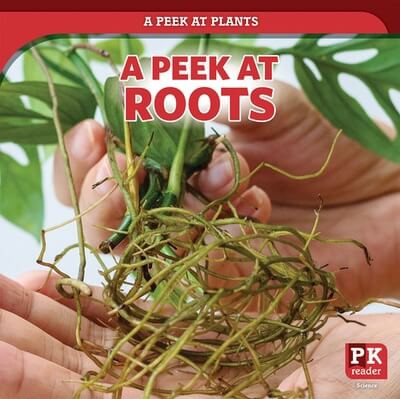 A Peek at Roots by Doug Bradley, 9781499452037
