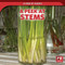 A Peek at Stems by Doug Bradley, 9781499452068