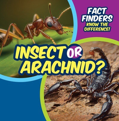 Insect or Arachnid? by Ezra E. Knopp, 9781499452723