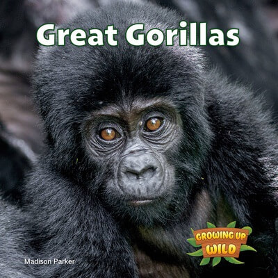 Great Gorillas by Madison Parker, 9781978574052