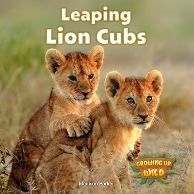 Leaping Lion Cubs by Madison Parker, 9781978574083