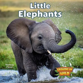Little Elephants - 9781978574120 by Madison Parker, 9781978574120
