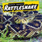 Rattlesnake - 9781978575172 by Murray "Oak" Tapeta, 9781978575172