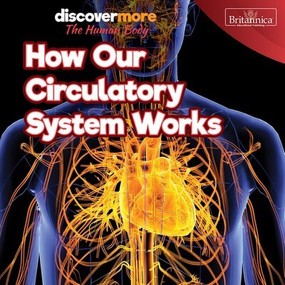 How Our Circulatory System Works - 9781641904377 by Dwight Morris, 9781641904377