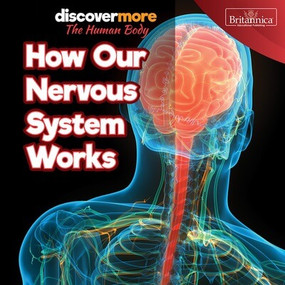 How Our Nervous System Works - 9781641904469 by Dwight Morris, 9781641904469