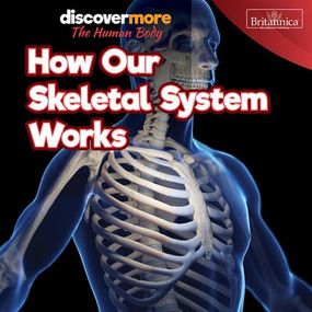 How Our Skeletal System Works by Dwight Morris, 9781641904483