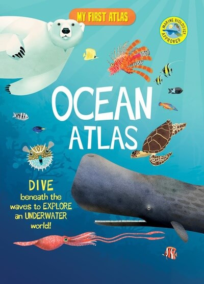 Ocean Atlas by Catherine Ard, Paul Daviz, 9781538399972