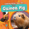 Your Guinea Pig - 9781534550643 by Rebecca Phillips-Bartlett, 9781534550643