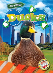 Ducks - 9798893044294 by Mari Schuh, 9798893044294
