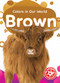 Brown - 9798893044379 by Rachael Barnes, 9798893044379