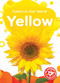 Yellow - 9798893044430 by Rebecca Sabelko, 9798893044430