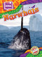 Narwhals - 9798893044683 by Chris Bowman, 9798893044683