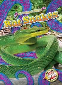 Rat Snakes - 9798893044782 by Joanne Mattern, 9798893044782