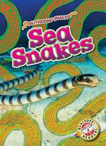 Sea Snakes - 9798893044799 by Joanne Mattern, 9798893044799