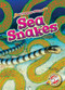 Sea Snakes - 9798893044799 by Joanne Mattern, 9798893044799