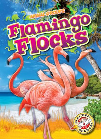 Flamingo Flocks by Rachel Grack, 9798893045116
