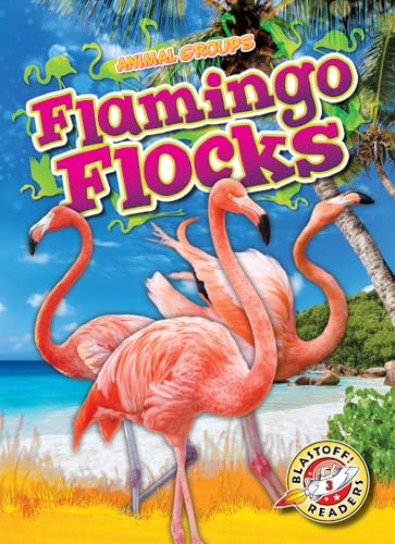 Flamingo Flocks by Rachel Grack, 9798893045116
